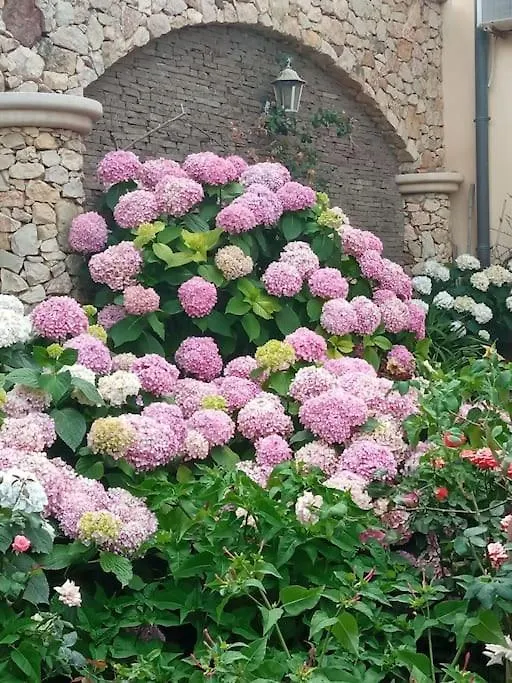 Bed and Breakfast A Casa di Gi Porto Torres